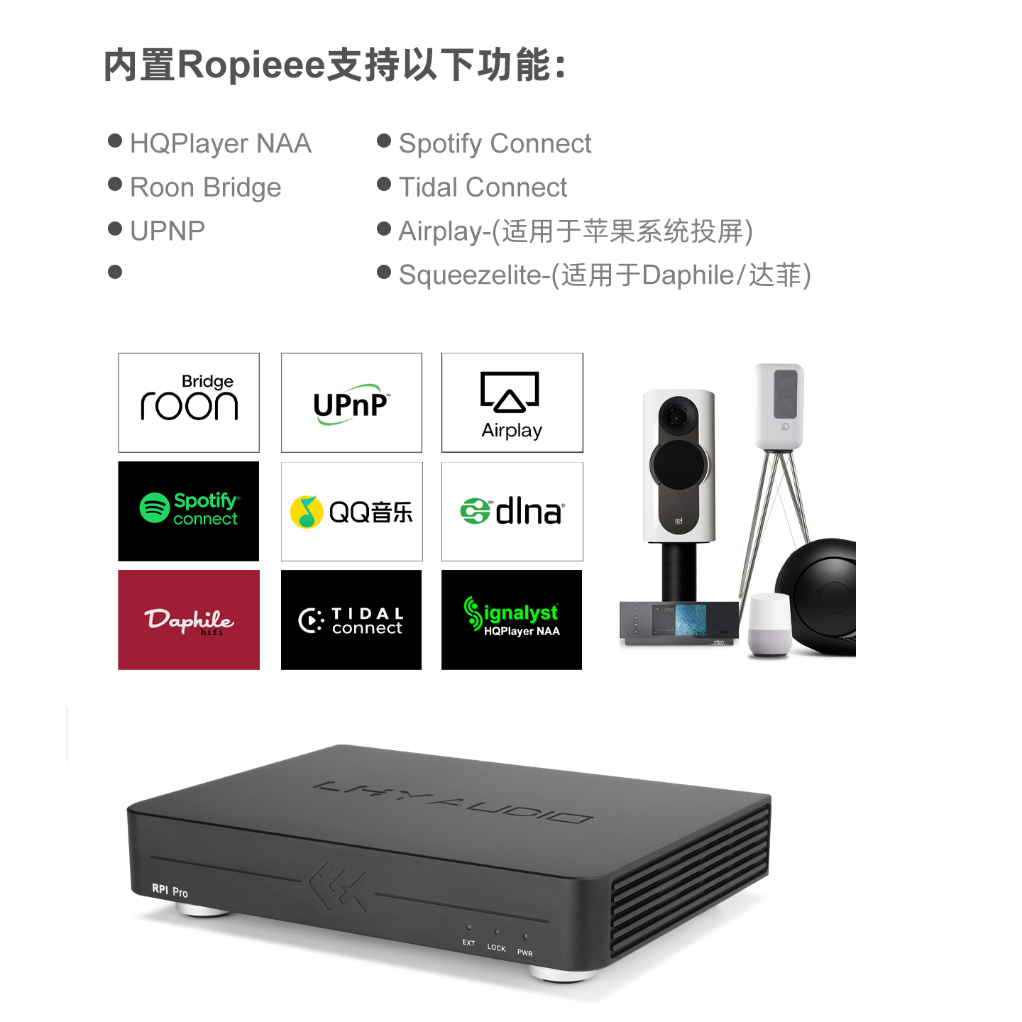 Pemutar Musik Digital Tiger Fi - Music Audio Pro ulasan dan harga
