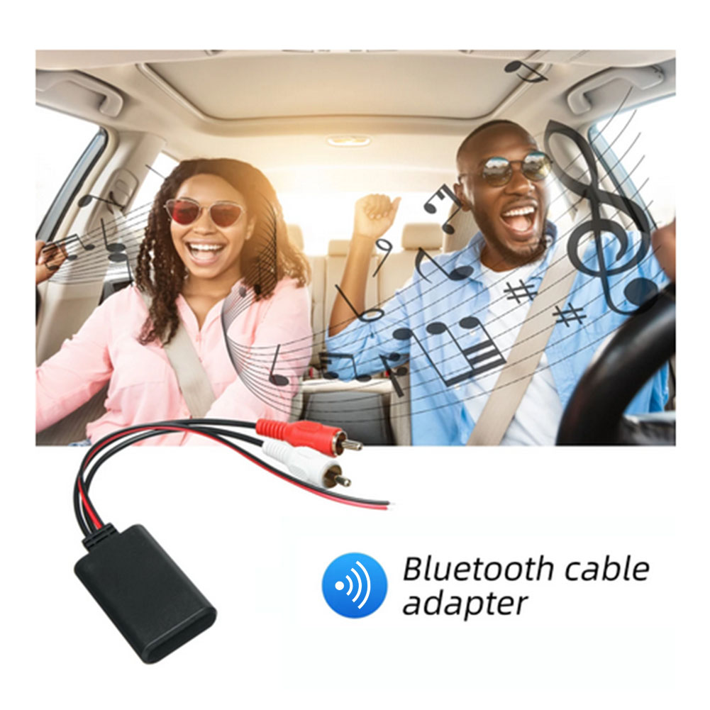 Modul Kabel Audio Kompatibel d - Audio Universal Music ulasan dan harga
